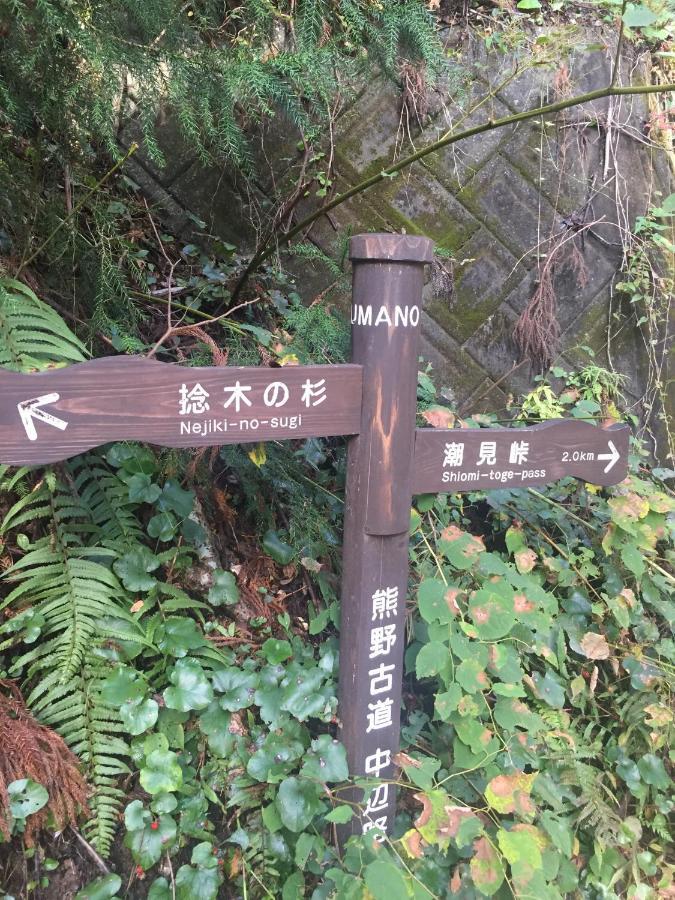 Kumano Winery Guest House Танабе Екстериор снимка